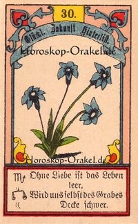 Die Lilien im Skorpion Monatshoroskop an diesem Tag