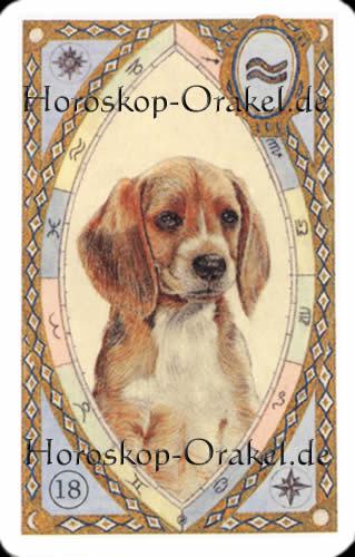 Der Hund, Skorpion Monatshoroskop