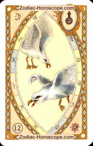 Astrologische Lenormandkarten die Vögel