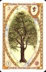 Der Baum, Horoskop mit Lenormand
