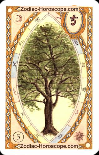 Tageskarte heute der Baum