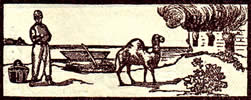 Skorpion Horoskop Mann