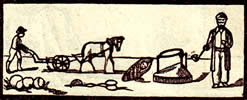 Monatshoroskop Juni Skorpion
